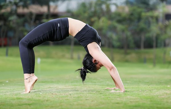 What Are the Best Practices for Reducing the Risk of Parasites in Outdoor Pets?