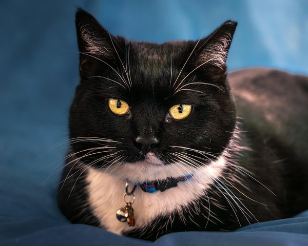 How to Style a Plain Tank Top for a Summery Casual-Chic Vibe?