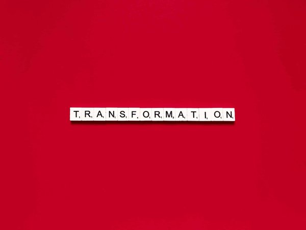 What Techniques Can Transform a Basic Salad into a Gourmet Creation?