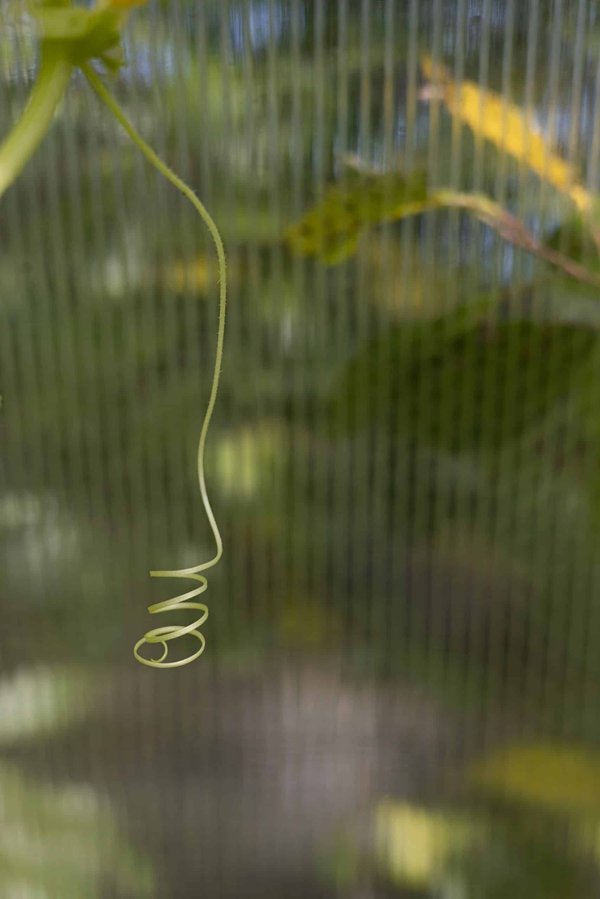 How to navigate legal and regulatory changes in the real estate industry?